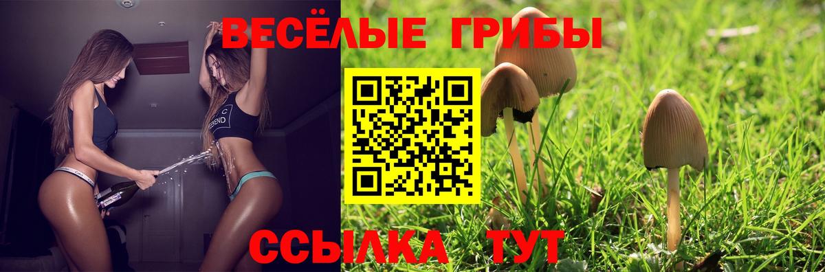 Новокуйбышевск  Псилоцибиновые грибы MAGIC MUSHROOMS  Вход с VPN 